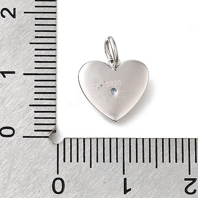 925 Sterling Silver Micro Pave Clear Cubic Zirconia Charms STER-V001-01P-03-1