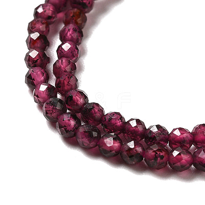 Natural Garnet Beads Strands G-I341-09A-1