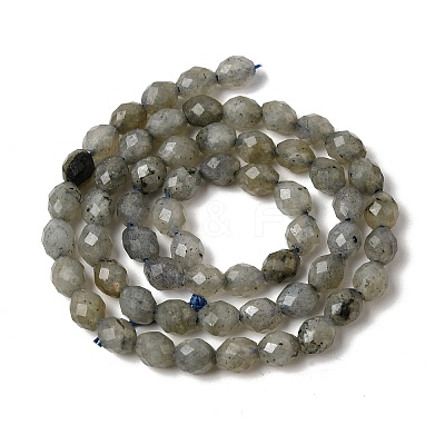 Natural Labradorite Beads Strands G-K376-F07-01-1