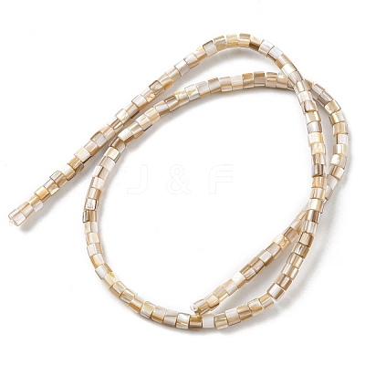 Natural Freshwater Shell Beads Strands X-SHEL-R129-05-1