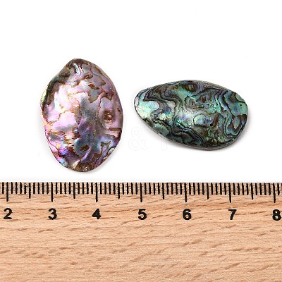 Natural Paua Shell Cabochons SSHEL-S280-01C-1