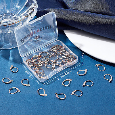 50Pcs 304 Stainless Steel Leverback Earring Findings STAS-BBC0001-44RG-1