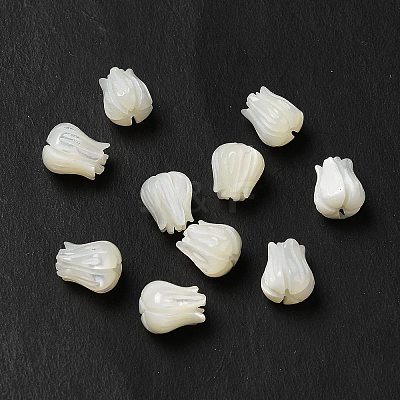 Natural Trochid Shell/Trochus Shell Beads BSHE-E026-03-1