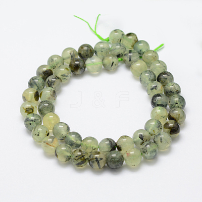 Natural Prehnite Beads Strands X-G-P322-48-8mm-1