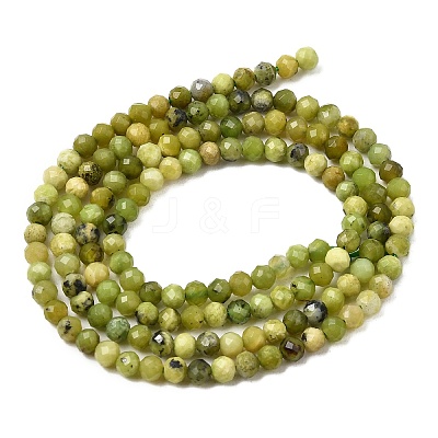 Natural Serpentine Beads Strands G-P603-C-3mm-06-1