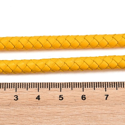 Braided Leather Cord with Core WL-F009-6mm-01-1