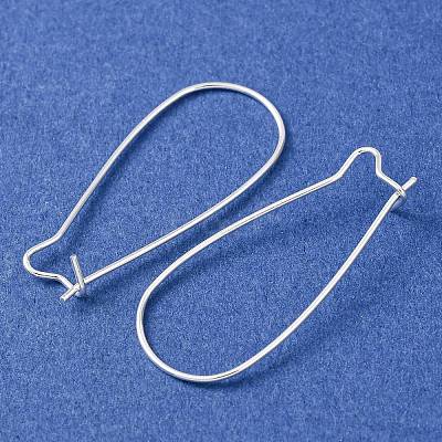 Brass Hoop Earrings Findings Kidney Ear Wires LS-EC221-S-1