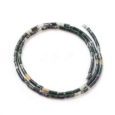 Natural Moss Agate Beads Strands G-G783-19-1