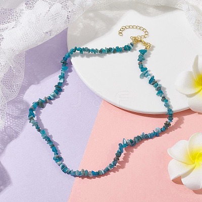 Natural Apatite Chip Beaded Necklace NJEW-JN04616-15-1