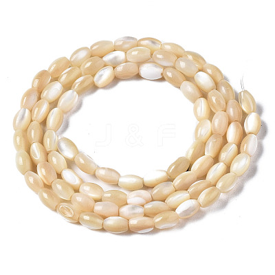 Natural Trochid Shell/Trochus Shell Beads Strands SSHEL-S266-021B-01-1