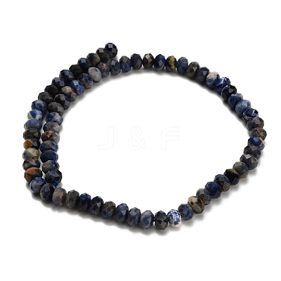 Natural Sodalite Beads Strands G-Z111-A20-1