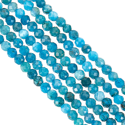 3 Strands Natural Apatite Beads Strands G-OC0004-69-1