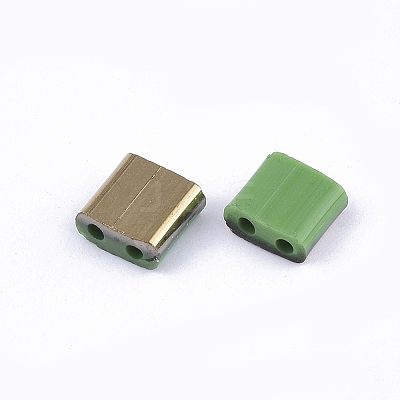 FGB 2-Hole Glass Seed Beads SEED-S031-L-047-G-1