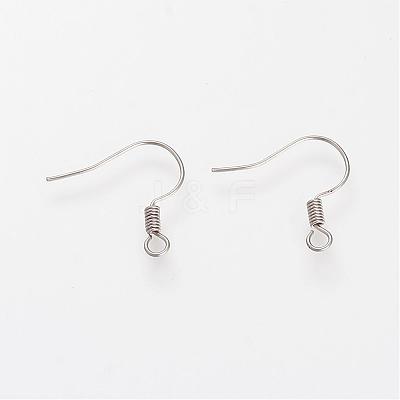 Tarnish Resistant 304 Stainless Steel Earring Hooks STAS-S066-10-1