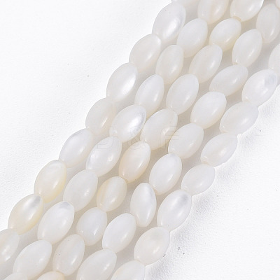 Natural Freshwater Shell Beads Strands X-SHEL-N027-08A-1