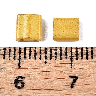 2-Hole Baking Paint Glass Seed Beads SEED-S023-17C-22-1