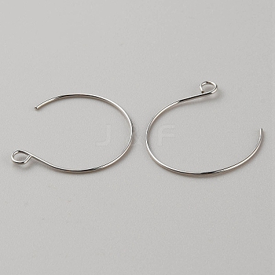 Brass Earring Hooks KK-WH0044-141B-P-1