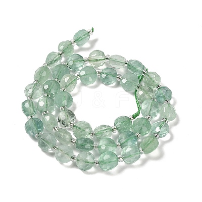 Natural Green Fluorite Beads Strands G-B153-A07-1