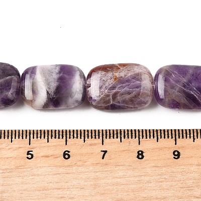 Natural Amethyst Beads Strands G-S386-A12-1