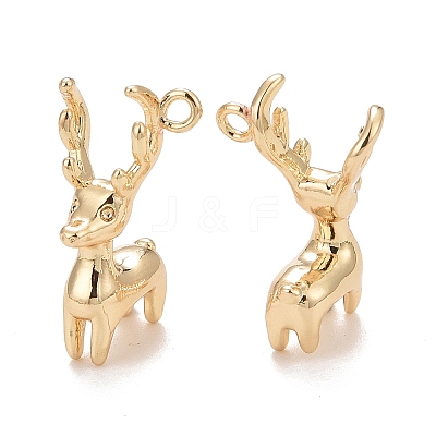 Rack Plating Brass Pendants LS-KK-E267-01LG-1