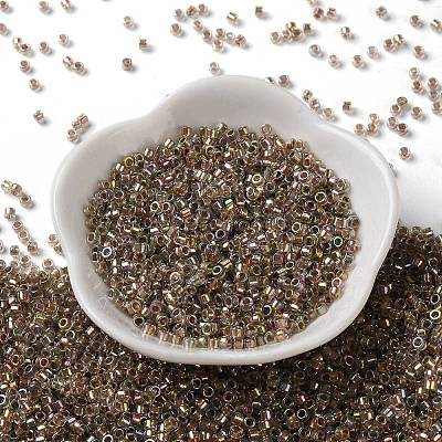 Glass Seed Beads SEED-S042-13A-16-1