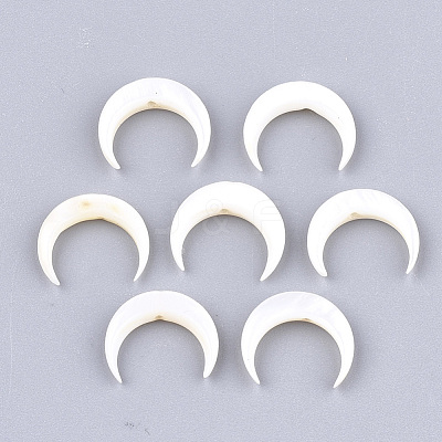 Natural Freshwater Shell Beads X-SHEL-T012-12-1
