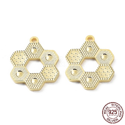 925 Sterling Silver Pendants STER-C003-14G-1