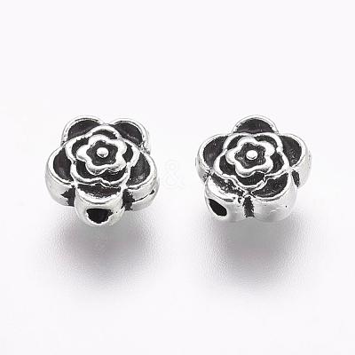 Tibetan Style Alloy Beads X-LF0590Y-1