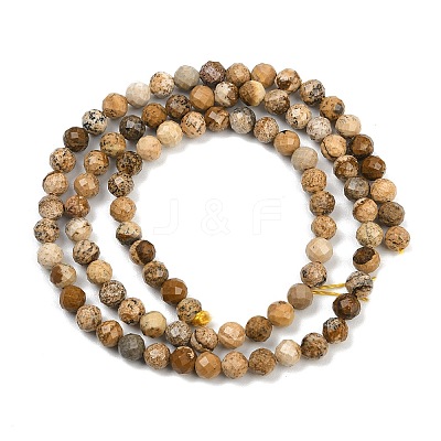 Natural Picture Jasper Beads Strands G-P572-B03-4mm-1
