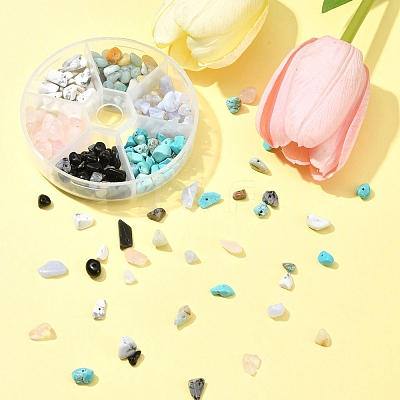 60G 6 Styles Natural & Synthetic Gemstone Beads Chips G-FS0005-80-1
