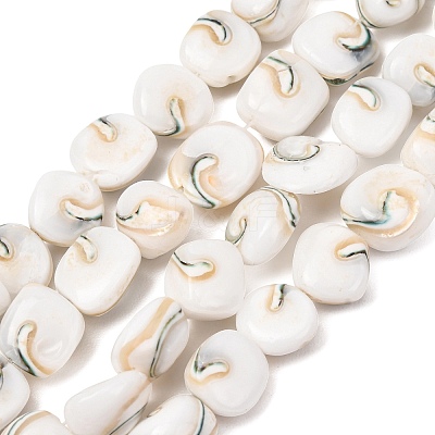 Natural Seashell Shell Beads Strands SH-CBAFA8D-01-1