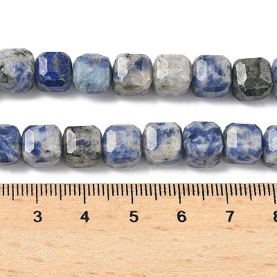 Natural Blue Spot Jasper Beads Strands G-C267-A20-1
