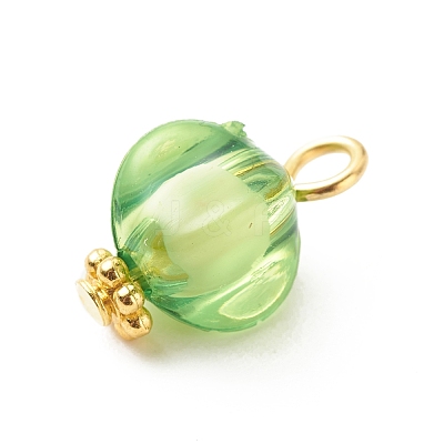 Transparent Acrylic Pendants PALLOY-JF01834-01-1