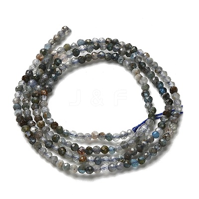 Natural Apatite Beads Strands G-RM2025-A23-2mm-1