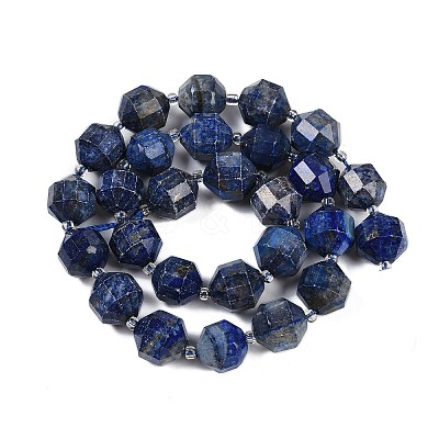 Natural Lapis Lazuli Beads Strands G-O201B-145H-1