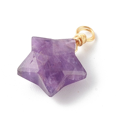 Natural Mixed Gemstone Charms PALLOY-JF00748-1