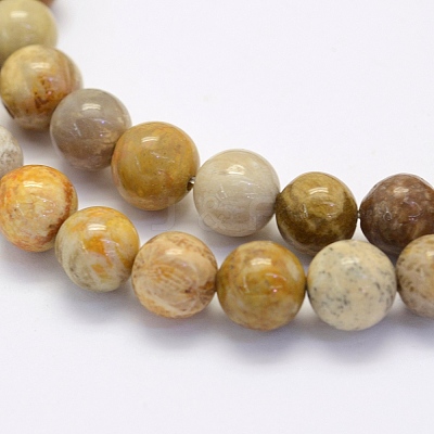 Natural Fossil Coral Beads Strands X-G-G697-F01-8mm-1