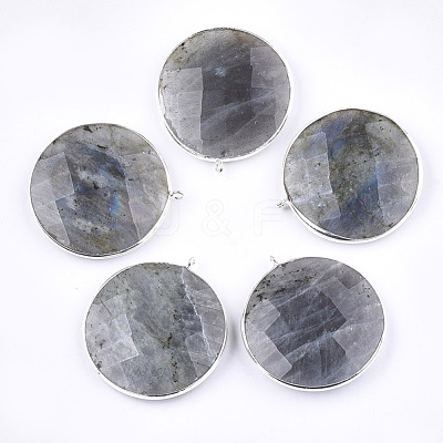 Natural Labradorite Pendants G-T112-29A-1