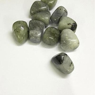 Natural Labradorite Beads G-K302-A09-1