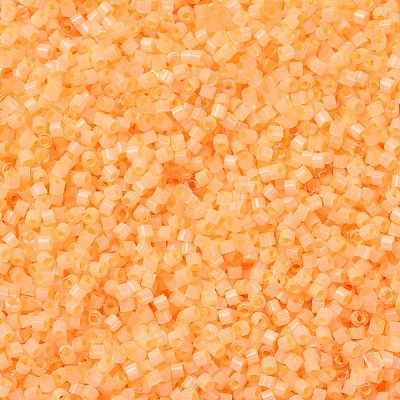 MIYUKI Delica Beads SEED-X0054-DB1855-1