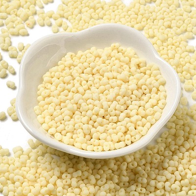 Glass Frosted Seed Beads SEED-K009-05B-08-1