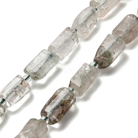 Natural Green Lodolite Quartz/Garden Quartz Beads Strands G-K245-I13-01-1