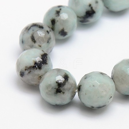 Natural Sesame Jasper/Kiwi Jasper Beads Strands G-L147-4mm-01-1