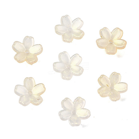 Acrylic Bead Caps OACR-I024-01A-1