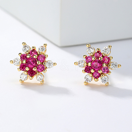 Brass Micro Pave Cubic Zirconia Stud Earrings for Women SS9971-1