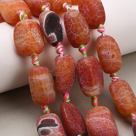 Natural Weathered Agate Beads Strands G-A321-P02-01-1