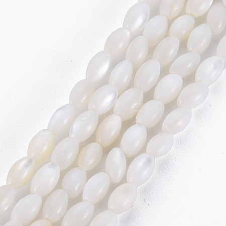 Natural Freshwater Shell Beads Strands X-SHEL-N027-08A-1