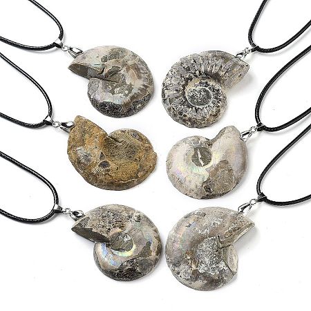 Natural Conch Fossil Pendant Necklaces G-P552-01P-1