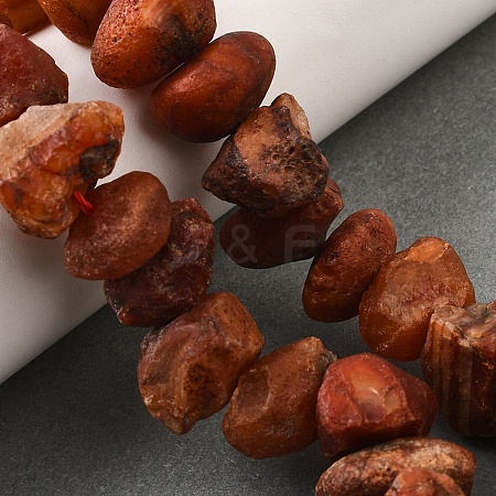 Natural Carnelian Beads Strands G-I283-F09-1