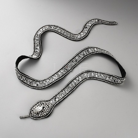 Snake Computerized Embroidery Cloth Iron on/Sew on Patches PATC-WH0002-067B-1